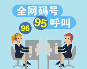 95/96码号